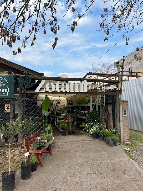 Zotami Plantas & Café